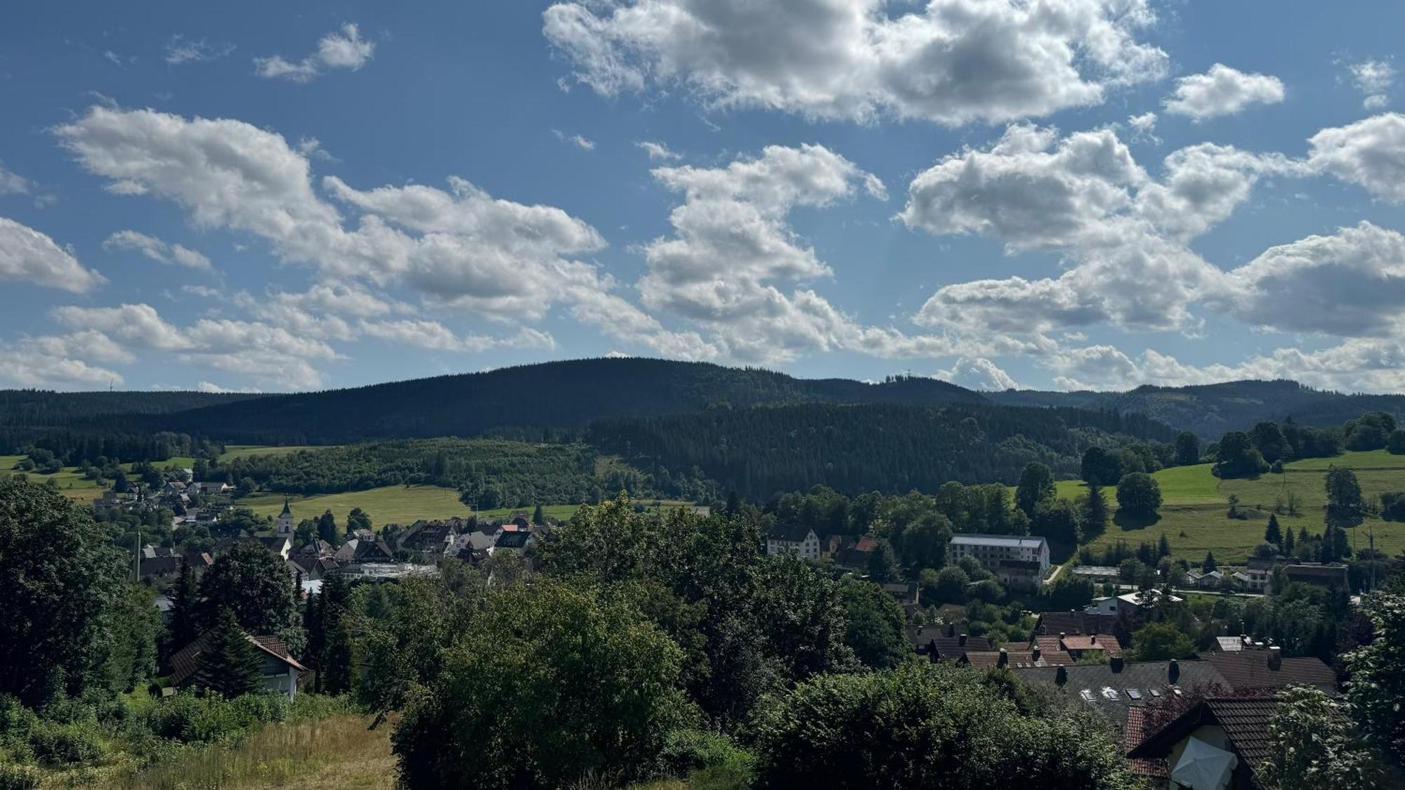Appartamento Urlaub Im Schwarzwald Lenzkirch Esterno foto